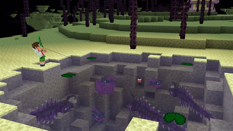 Gallery image 5